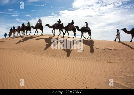 Caravane de chameaux dans le désert du Sahara, Maroc Banque D'Images