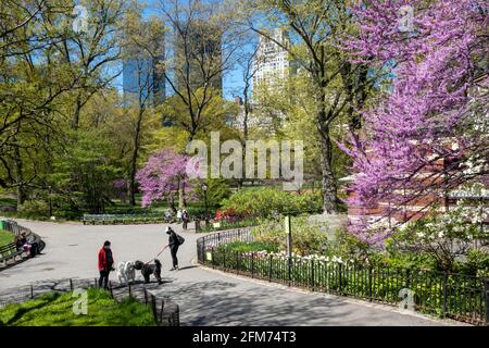 New Yorkers profitant d'une journée de printemps à Central Park, 2021, NYC, Etats-Unis Banque D'Images