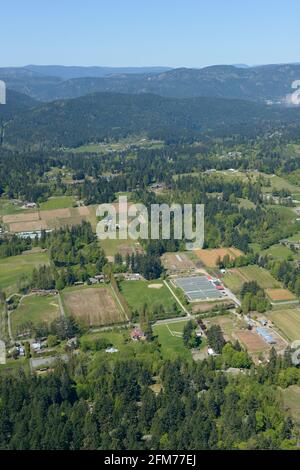 Photo aérienne des fermes de Saanich, île de Vancouver, Colombie-Britannique Banque D'Images