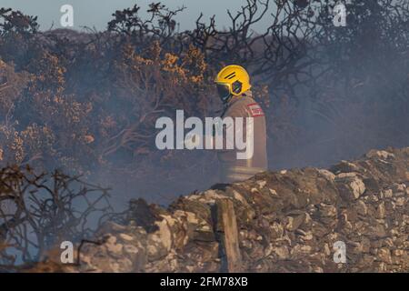 Les pompiers s'attaquent au feu de Gorse sur l'île d'Anglesey. Banque D'Images