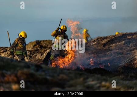 Les pompiers s'attaquent au feu de Gorse sur l'île d'Anglesey. Banque D'Images