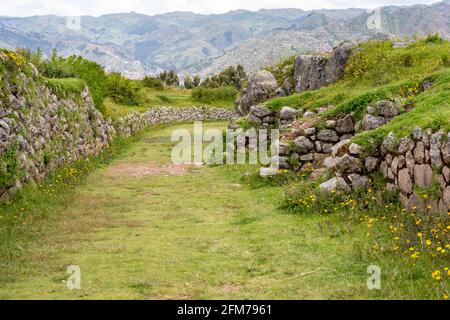Sentier Inca (Camino Inca) À Machu Picchu dans les Andes péruviennes Banque D'Images