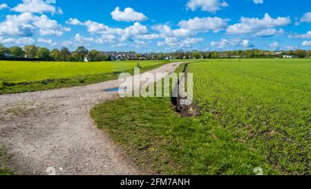 Carr Mill Dam est une région incroyablement belle avec des liaisons faciles entre Liverpool et Manchester situé à St Helens. Pas seulement le plus grand intérieur Banque D'Images