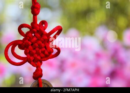La richesse et les pièces de succès du Feng Shu chinois avec Knot. Décoration du nouvel an chinois Banque D'Images