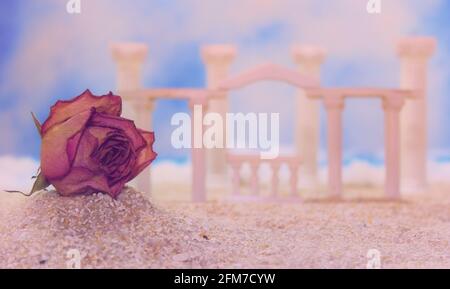 Fleur séchée sur la plage tropicale avec ruines de style romain Banque D'Images