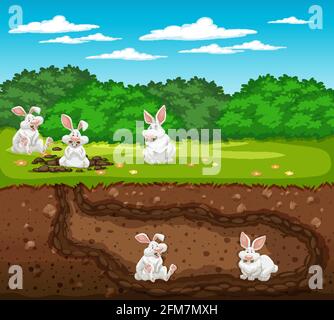 Terrier souterrain avec illustration de la famille de lapins Illustration de Vecteur