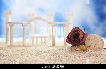 Coquillages sur la plage tropicale Banque D'Images