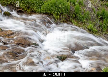 Ruisseau de forêt froide millénaire, rapides de rivière à écoulement rapide, exposition longue Banque D'Images