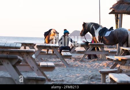 Chevaux et leurs cavaliers au trou d'eau au coucher du soleil Sur Perranporth Beach à Cornwall, Royaume-Uni Banque D'Images