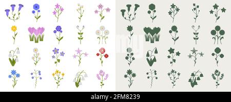 Un ensemble de fleurs sauvages dans un style plat et silhouettes. Illustration vectorielle de fleurs. Illustration de Vecteur