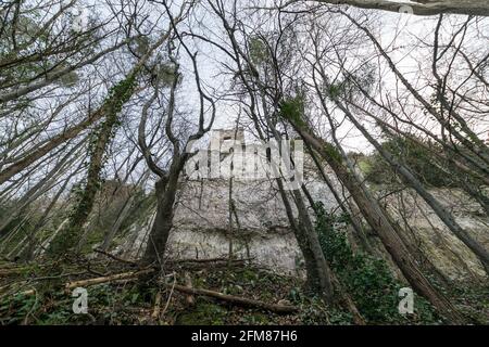 La tour du pavillon de chasse de Lady Emily Hesketh est en ruine près d'Abergele sur la côte nord du pays de Galles au royaume-uni, dans les bois du château de Gwrych. Banque D'Images