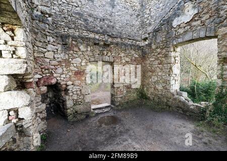 La tour du pavillon de chasse de Lady Emily Hesketh est en ruine près d'Abergele sur la côte nord du pays de Galles au royaume-uni, dans les bois du château de Gwrych. Banque D'Images