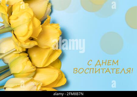 Bannière horizontale avec fleurs de tulipe jaunes sur fond bleu Avec l'inscription en russe Happy Teacher's Day Banque D'Images