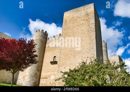 Château médiéval du XIIIe siècle à Montealegre de Campos, Valladolid, Castille et Leon, Espagne Banque D'Images