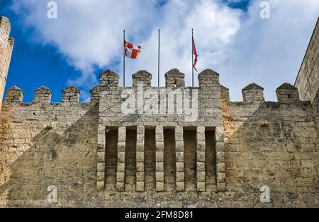 Château médiéval du XIIIe siècle à Montealegre de Campos, Valladolid, Castille et Leon, Espagne Banque D'Images