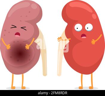 Triste souffrance malade et mignon santé étonnement survivant des caractères de rein.Anatomie humaine système génito-urinaire interne pleurer malsain et organe fort comparer.Illustration de dessin animé à plan vectoriel Illustration de Vecteur