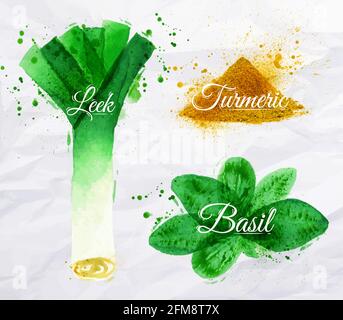 Épices herbes mettre des taches et des taches d'aquarelle dessinés avec un spray poireaux, basilic, curcuma Illustration de Vecteur