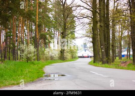 Une route asphaltée sinueuse sans voitures dans les bois parmi les pins et les chênes, allant dans la distance. Un village se trouve à l'horizon. Les flaques se sont rasées vers l'arrière Banque D'Images