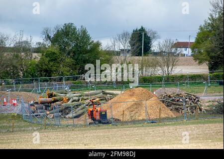 Aylesbury Vale, Buckinghamshire, Royaume-Uni. 7 mai 2021. Membres d'arbres et arbres transformés en copeaux de bois par HS2. HS2 a de nouveau bombarder des hêtres aujourd'hui dans l'ancienne forêt de Jones Hill Wood, bien qu'il s'agisse de la saison de nidification des oiseaux et que les rares chauves-souris de Barbastelle sont connus pour rôder dans les bois. Les bois auraient inspiré l'auteur local Roald Dahl à écrire le roman populaire pour enfants, le fantastique M. Fox. Le train à grande vitesse 2 de Londres à Birmingham sculpte une énorme cicatrice à travers les Chilterns. Crédit : Maureen McLean/Alay Live News Banque D'Images