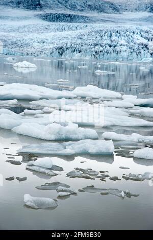 La glace du glacier Breioamerkurjokull (arrière) flotte dans le lac du glacier Fjallsarlon, dans le parc national de Vatnajokull, en Islande. Banque D'Images