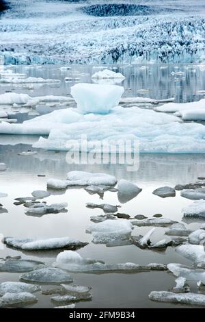 La glace du glacier Breioamerkurjokull (arrière) flotte dans le lac du glacier Fjallsarlon, dans le parc national de Vatnajokull, en Islande. Banque D'Images