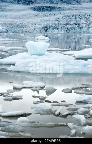 La glace du glacier Breioamerkurjokull (arrière) flotte dans le lac du glacier Fjallsarlon, dans le parc national de Vatnajokull, en Islande. Banque D'Images