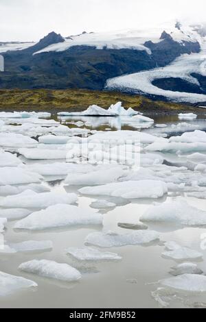 La glace du glacier Breioamerkurjokull (arrière) flotte dans le lac du glacier Fjallsarlon, dans le parc national de Vatnajokull, en Islande. Banque D'Images