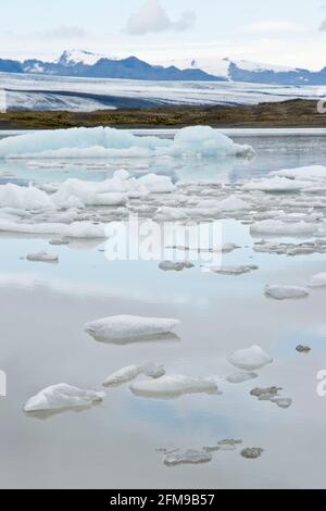 La glace du glacier Breioamerkurjokull (arrière) flotte dans le lac du glacier Fjallsarlon, dans le parc national de Vatnajokull, en Islande. Banque D'Images