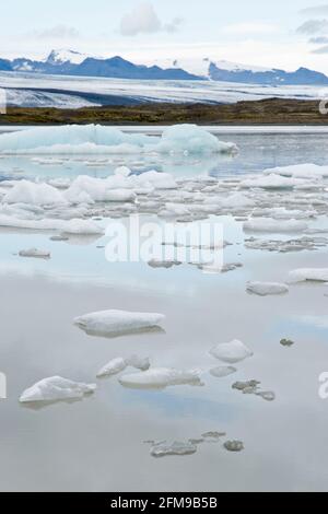 La glace du glacier Breioamerkurjokull (arrière) flotte dans le lac du glacier Fjallsarlon, dans le parc national de Vatnajokull, en Islande. Banque D'Images