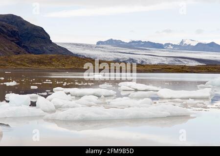 La glace du glacier Breioamerkurjokull (arrière) flotte dans le lac du glacier Fjallsarlon, dans le parc national de Vatnajokull, en Islande. Banque D'Images