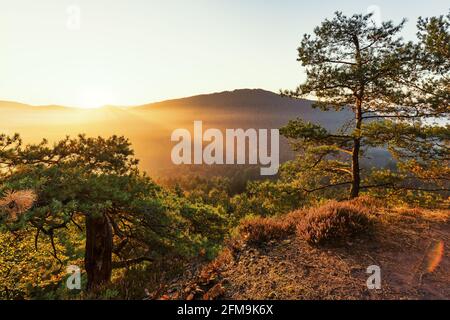 Lever du soleil dans le Dahner Felsenland près d'Erfweiler Banque D'Images