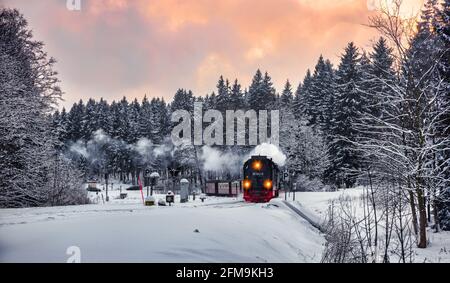 Train à vapeur sur le chemin de Brocken par paysage d'hiver Banque D'Images