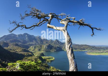 Vue sur le Kochelsee avec Herzogstand et Heimgarten, Kochel am See, haute-Bavière, Bavière, Allemagne Banque D'Images