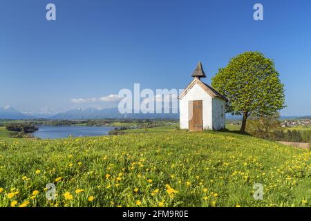 Mesnerhauskapelle sur Aidlinger Höh am Riegsee en face des montagnes de Wetterstein et des Alpes d'Ammergau, Aidling, Riegsee, haute-Bavière, Bavière, Allemagne Banque D'Images