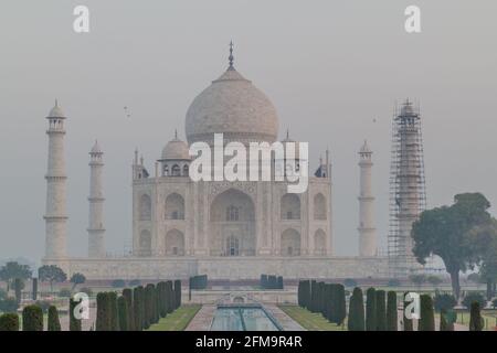 Tôt le matin Taj Mahal à Agra, Inde Banque D'Images