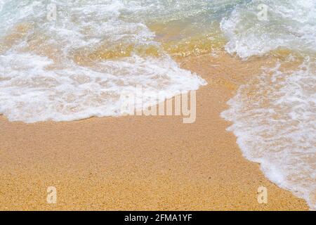 Vagues sur le sable humide de la plage. L'eau claire et le sable de la mer Méditerranée sur la Costa Brava, Espagne. Banque D'Images