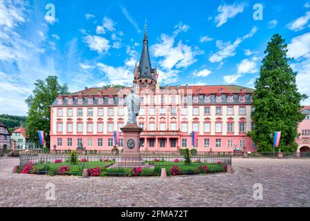 Château d'Erbach, Schlossplatz, façade de la maison, Erbach, Odenwald, Hesssen, Allemagne, Europe Banque D'Images