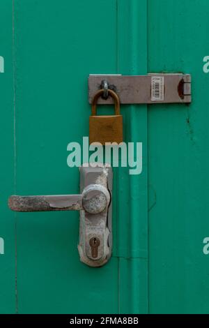 un ancien cadenas en laiton et un loquet sur une serrure de sécurité de porte peinte en vert aux intempéries. Banque D'Images