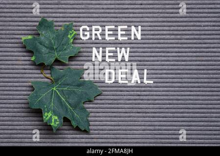 fond de tableau de lettres en feutre gris avec nouvelle offre verte et deux feuilles Banque D'Images