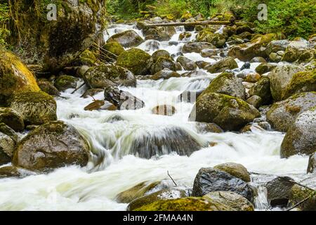 Olney Creek, dans le bassin du Sultan Watershed, bascule sur des rochers créant un réseau turbulent d'eau vive sur sa descente Banque D'Images