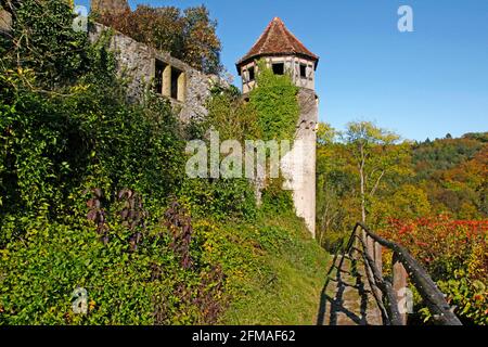 Château de Hornberg, tour d'angle, donjon du château, fondation du château probablement au XIe siècle au plus tard, propriétaire comprenant les comtes von Lauffen, Lords von Düren, Götz von Berlichingen, Neckarzimmern, Bade-Wurtemberg, Allemagne Banque D'Images