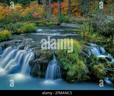 L'automne, Rogue River National Wild and Scenic River, Rogue River National Forest, Virginia Banque D'Images