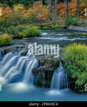 L'automne, Rogue River National Wild and Scenic River, Rogue River National Forest, Virginia Banque D'Images