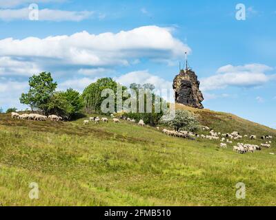 Allemagne, Saxe-Anhalt, Harz, Quedlinburg, Ballenstedt, Paysage dans la foreland de Harz, troupeau de moutons à la formation rocheuse de Gegensteine Banque D'Images