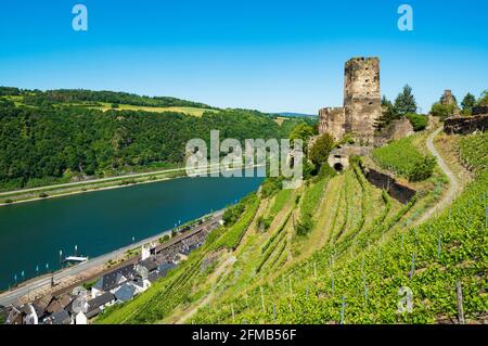 Allemagne, Rhénanie-Palatinat, Kaub, Vallée du Haut-Rhin moyen classée au patrimoine mondial, vue sur le vignoble jusqu'au château de Gutenfels sur le Rhin, derrière Kaub Banque D'Images