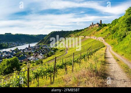 Allemagne, Rhénanie-Palatinat, Alken (Mosel), vue sur la vallée de la Moselle sur le village viticole d'Alken avec le château de Tdurant et les vignobles Banque D'Images