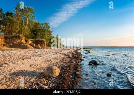 Paysage côtier naturel sur la mer Baltique, côte escarpée dans la lumière du soir, Hohen Wieschendorf Huk, près de Wismar, Mecklembourg-Poméranie occidentale, Allemagne Banque D'Images