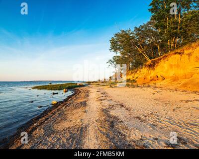 Paysage côtier naturel sur la mer Baltique, côte escarpée dans la lumière du soir, Hohen Wieschendorf Huk, près de Wismar, Mecklembourg-Poméranie occidentale, Allemagne Banque D'Images