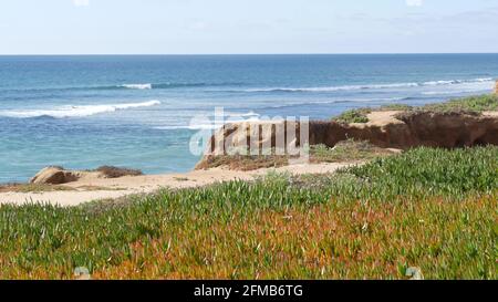 Point de vue de Seascape vista, point de vue à Carlsbad, côte californienne des États-Unis. Frome au-dessus de la marée panoramique de l'océan, les vagues bleues de la mer, falaise érodée abrupte. Vue sur le littoral. Plante de glace verte pelouse succulente. Banque D'Images