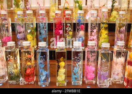 Fleurs séchées colorées en bouteilles votives remplies de liquide Banque D'Images